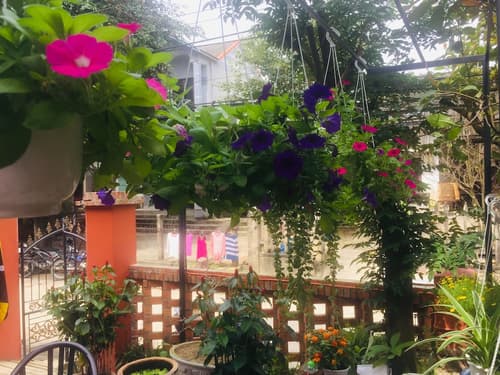 New Destination Hoi An Homestay, Restaurant