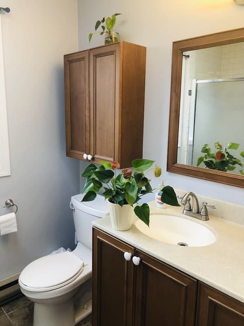 The Sunshine House, Room