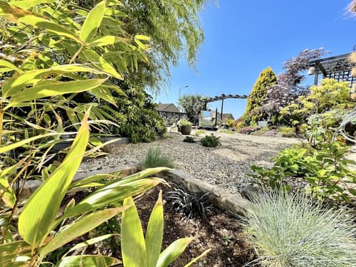 Bojangles Guest House, Garden