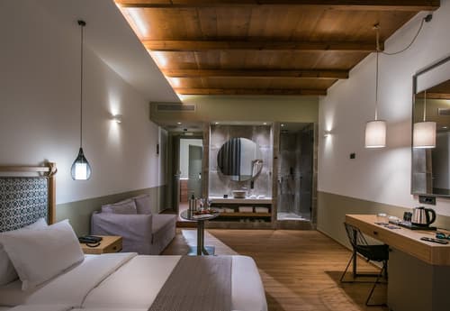 Petousis Hotel & Suites, Room