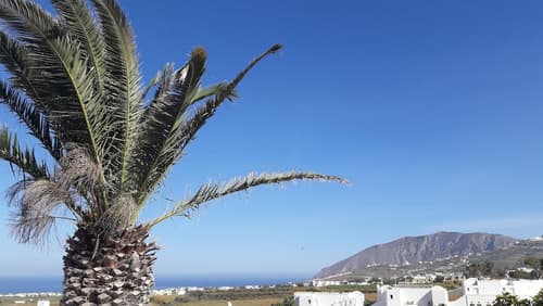 Maistrali Prive, Exterior