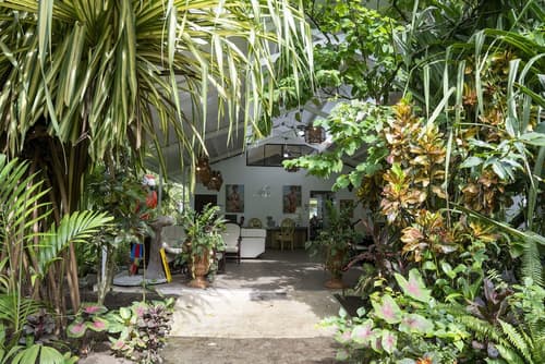 Hotel Tortuguero Beachfront, Reception