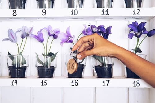 The KOHO Air Hotel, Reception