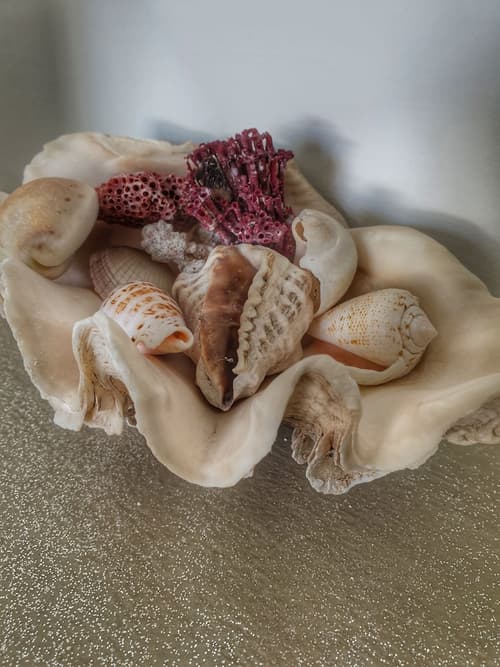 Gadea Boutique Hotel & Gadea Garden Restaurant, Room