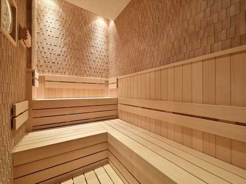 Hotel Elcient Osaka Umeda, Sauna