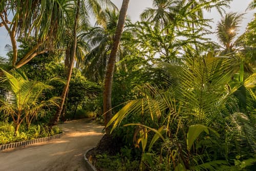 Fiyavalhu Resort Maldives, Garden