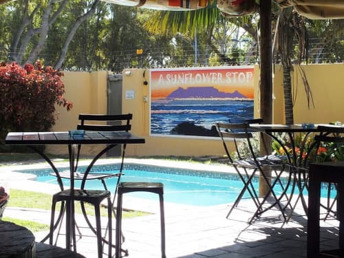 A Sunflower Stop - Hostel, Terrace/patio