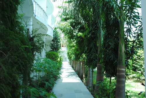 Hotel Isabel Palace, Children's activities