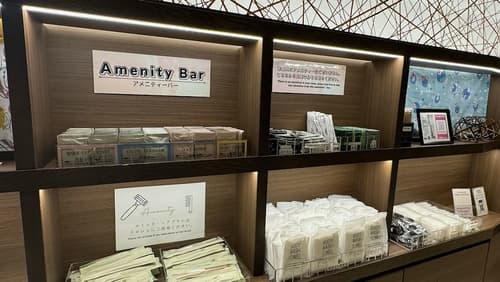 Hotel Keihan Tenmabashi Ekimae, Lobby