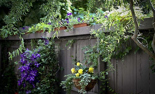 The Morgan State House, Garden