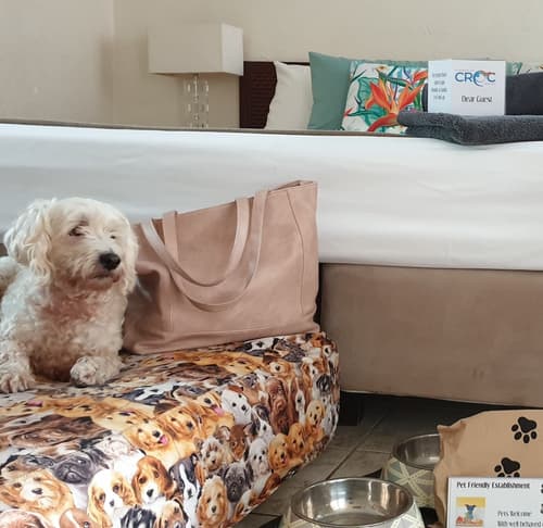 Kimberley Croc Motel, Room