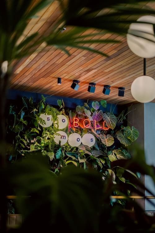 The Somos Bold Hotel, Reception