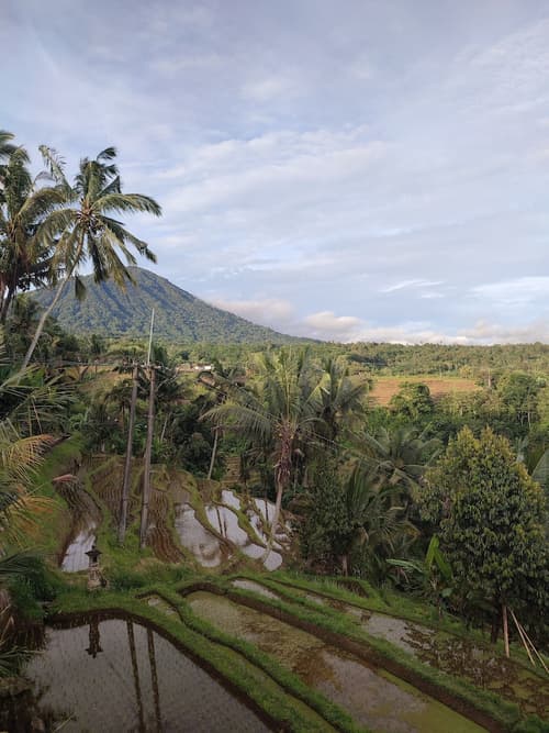 Gunza Bed and Breakfast, Primary image