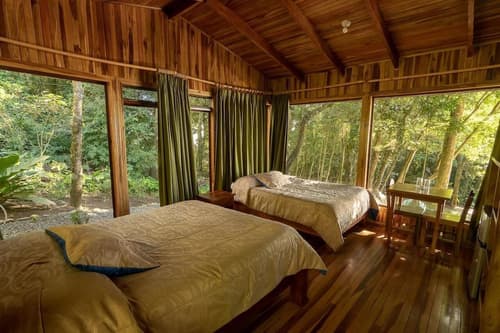 Hotel Flor de Bromelia, Room