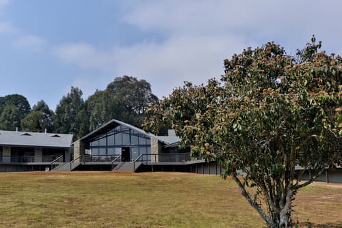 Dunkeld East, Primary image