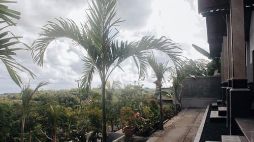 The Sabho Garden, Terrace/patio