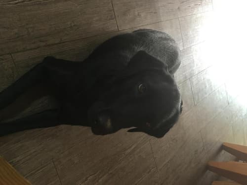 Gyeongju Momojane Guesthouse, 