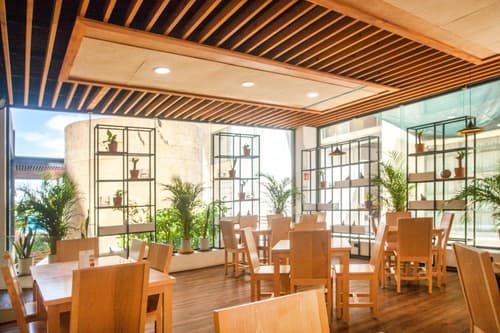 Wyndham Garden Cancun Downtown, 