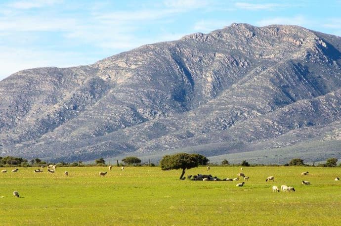 Cape Town, Kruger and Garden Route