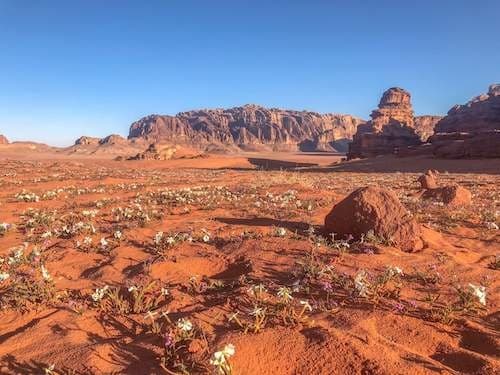 Descubre Jordania (Llegada a Amman) - 5 Stars Hotels (Departure Saturday or Tuesday)