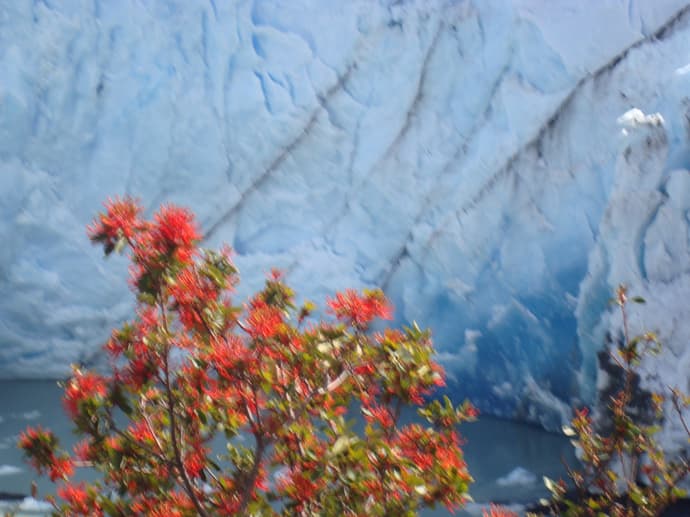 Il Meglio dell'Argentina - Gran Tour