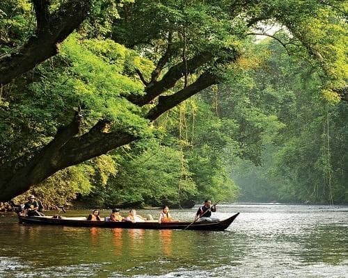 Kurztour "Taman Negara & Cameron Highlands"