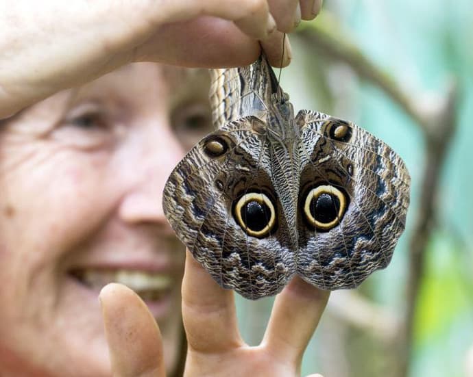 Iquitos Inolvidable 04 Días - 03 Noches