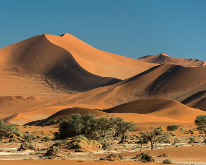 Safari "3 Tage Sossusvlei" 