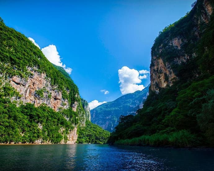 LACANDONA CLASICO (CVU)