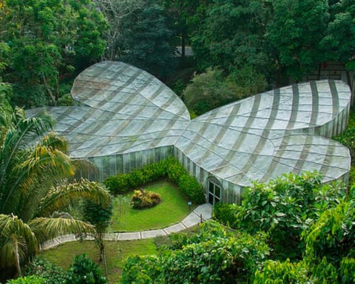 Ruta del Café - Armenia y Medellín