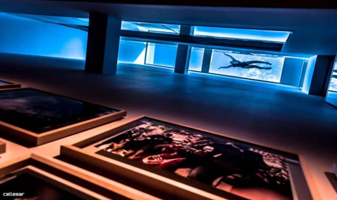 Welldone Quality - Crystal Pool, Primary image