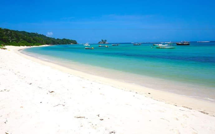 La Villa Therese, Primary image