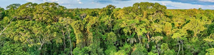 Peru: Amazon Jungle Short Break