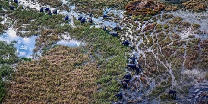 Journeys: Southern Africa Safari Experience