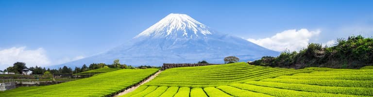 14 nopţi. Japonia, Coreea de Sud