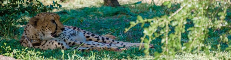 Hoedspruit, South Africa, South Africa