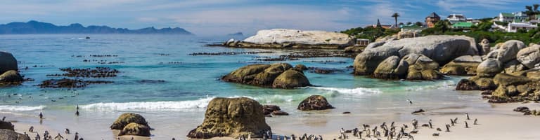 Boulders Beach, South Africa