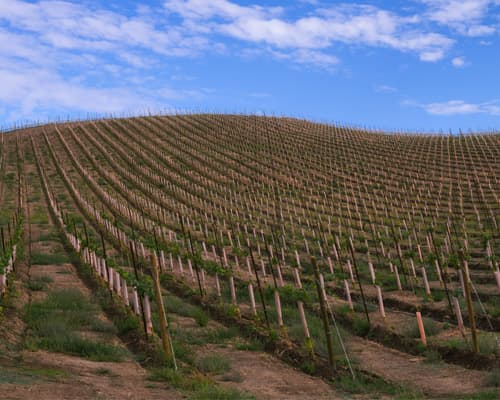 Yakima WA, United States of America