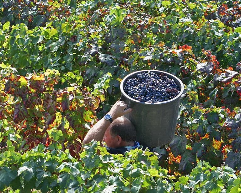 Santa Marta de Penaguião, Portugal