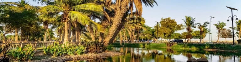 Γιανμπού, Σαουδική Αραβία