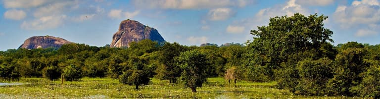 Yala National Park, Sri Lanka