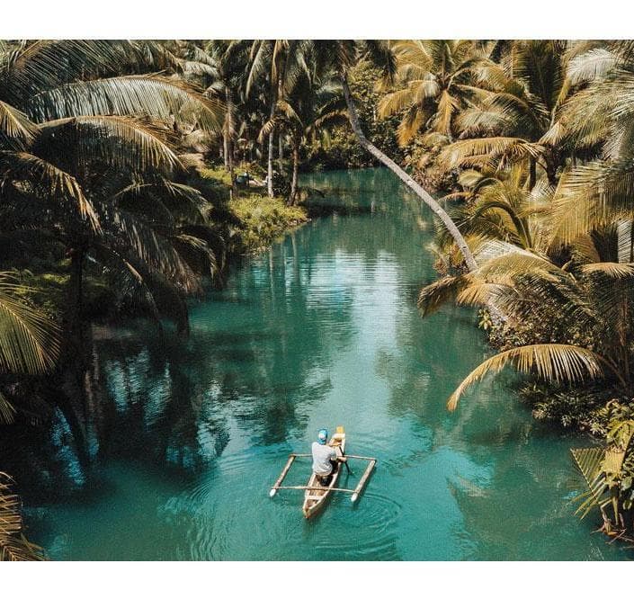 Imagem - Experiências