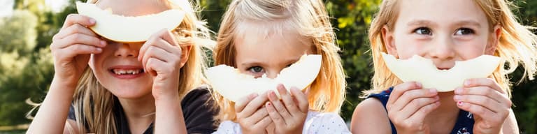 Vacaciones de verano