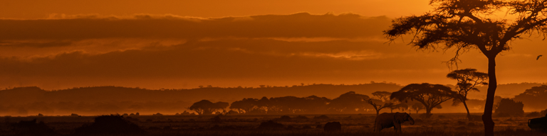 Туры по Африке