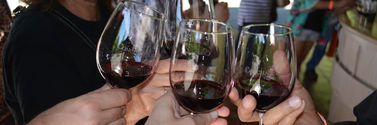 Rejseforespørgseler