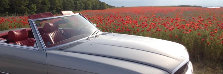 Bild - Mietwagenrundreisen