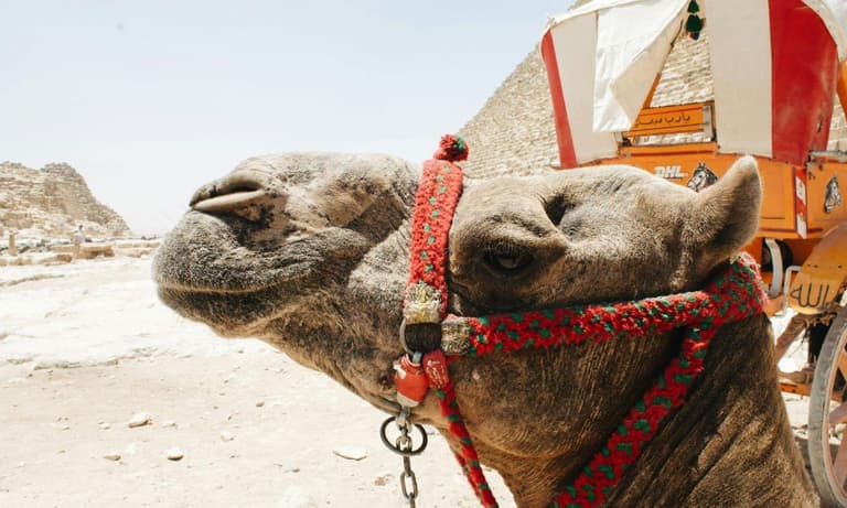 Imagem - CHARTER SAïDIA