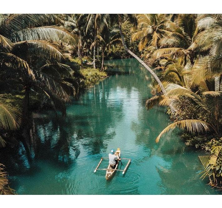 Imagem - Experiências