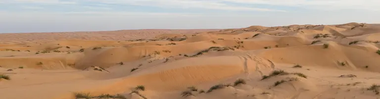 Padang Pasir A'Sharqiyah, Oman