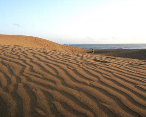 Image - Maspalomas - Las Palmas de Gran Canaria